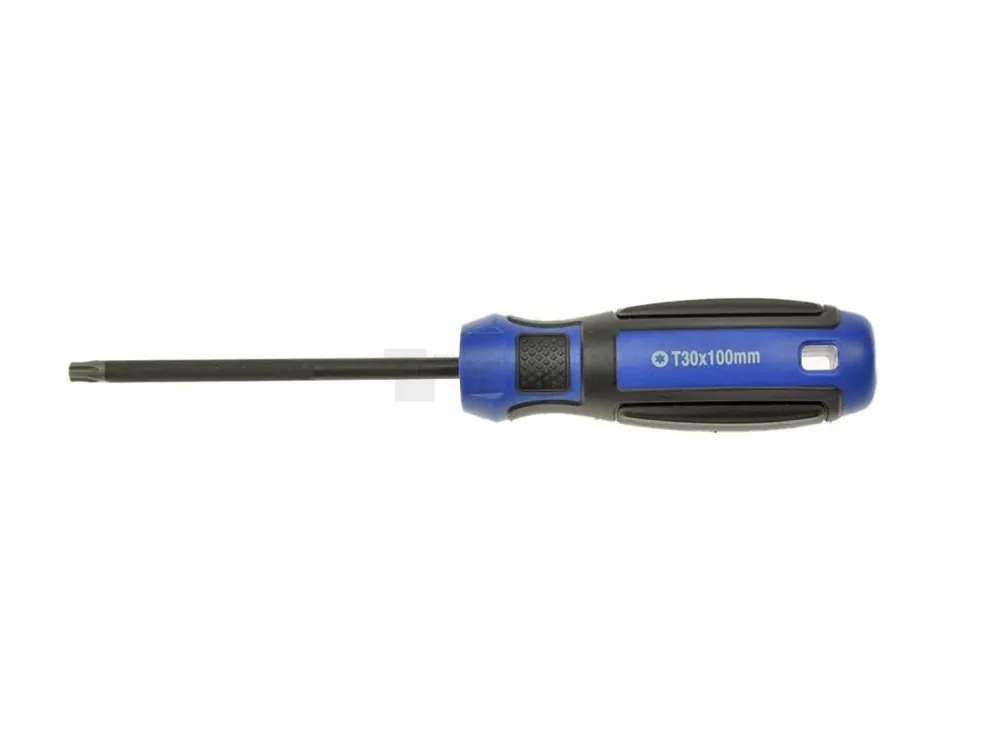 CONDOR Profi šroubovák TORX T10 x100mm