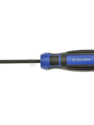 CONDOR Profi šroubovák TORX T25 x100mm