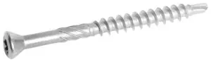 Rapi-tec Fasad A2 5,0x50 mm Torx25 nerez