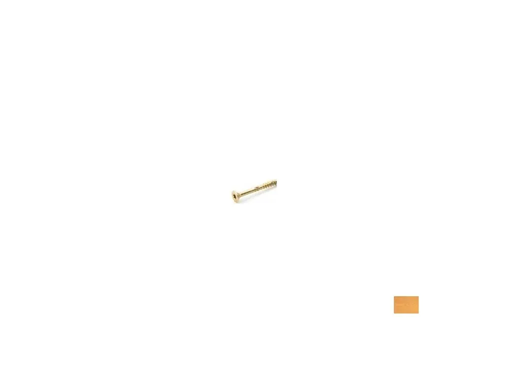 vruty 10x140 záp. hlava torx